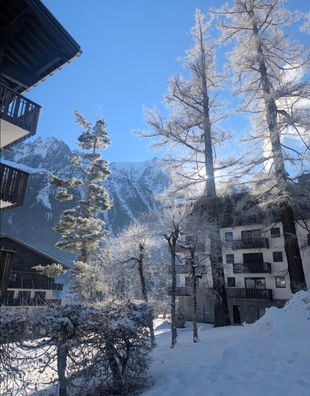 Apartamento Au Petit Bois Chamonix Mont Blanc Exterior foto